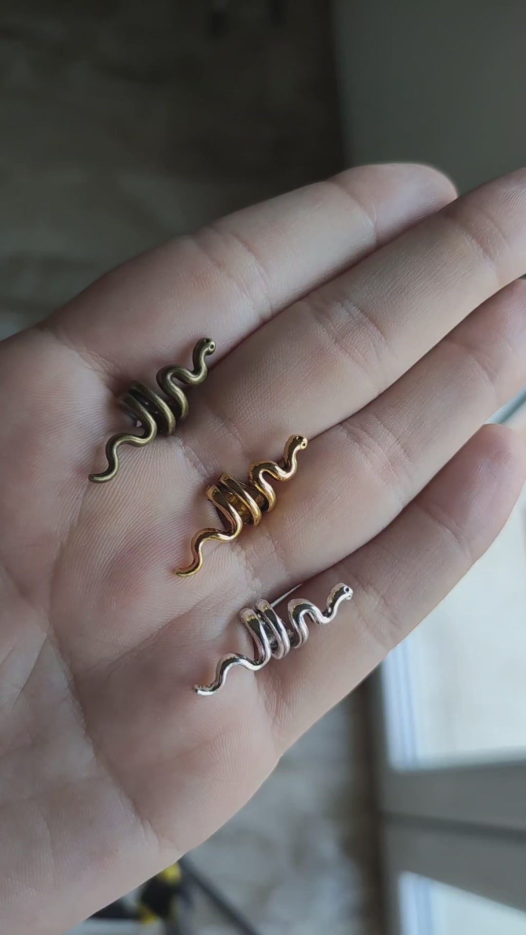 🐍 Anellini Serpente